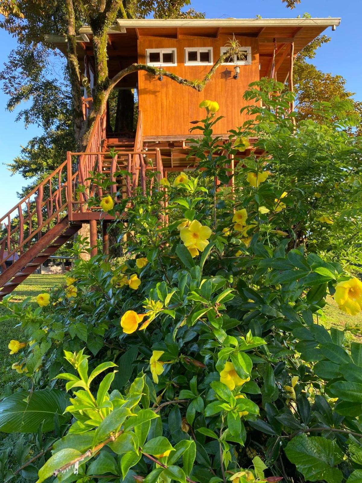 Hilamito Lodge Tela Esterno foto